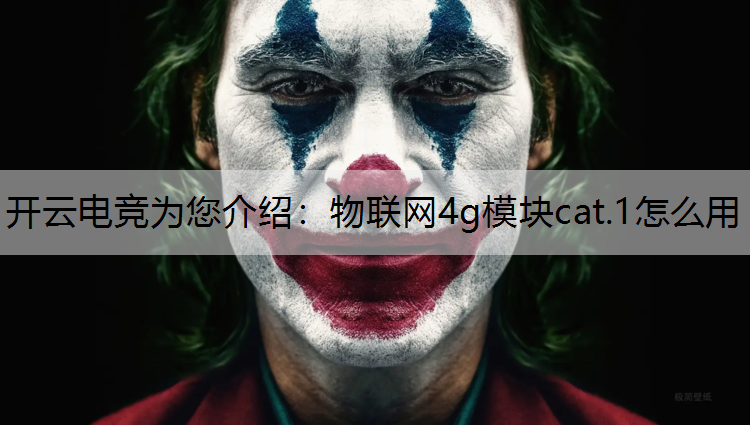 开云电竞为您介绍：物联网4g模块cat.1怎么用
