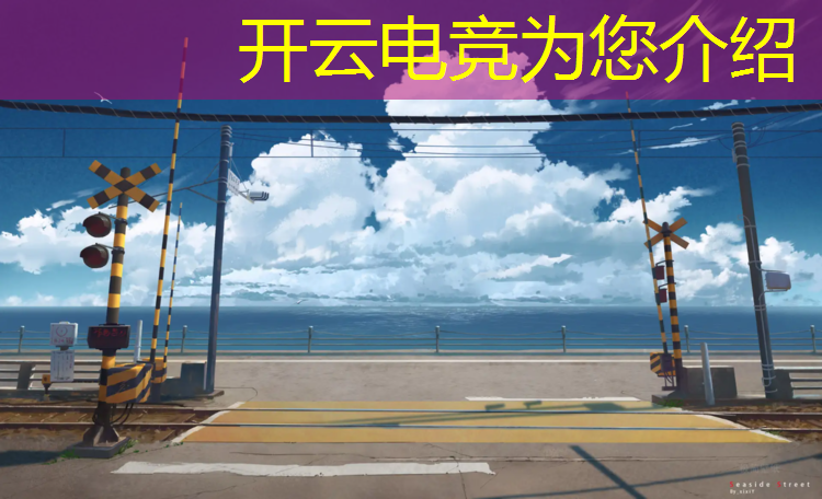 kaiyun·开云电竞为您介绍：山西专业电竞费用多少钱啊