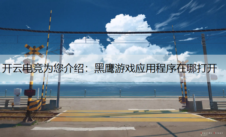 黑鹰游戏应用程序在哪打开