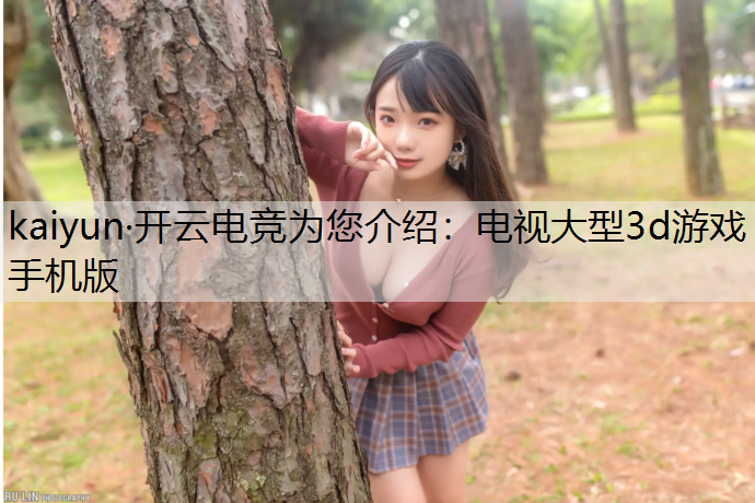 电视大型3d游戏手机版